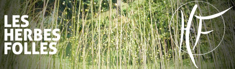 herbes folles.jpg